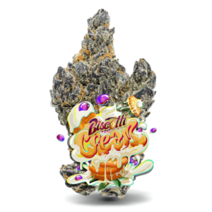 Biscotti x Grape Cream Cake