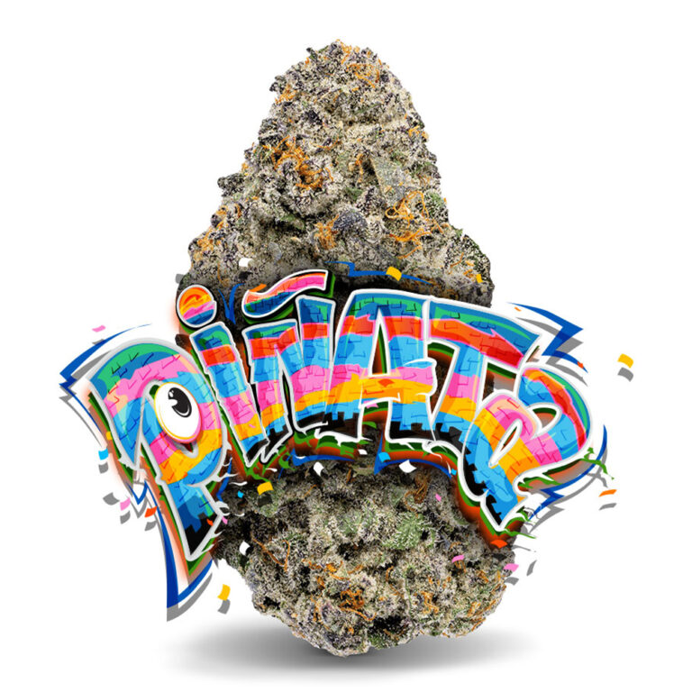 Sherb Cream Pie x Biscotti #24