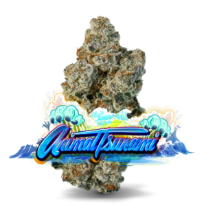 Animal Cookies x Caramel Tsunami