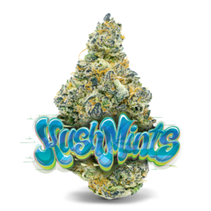 Kush Mints Animal Mints x Bubba Kush