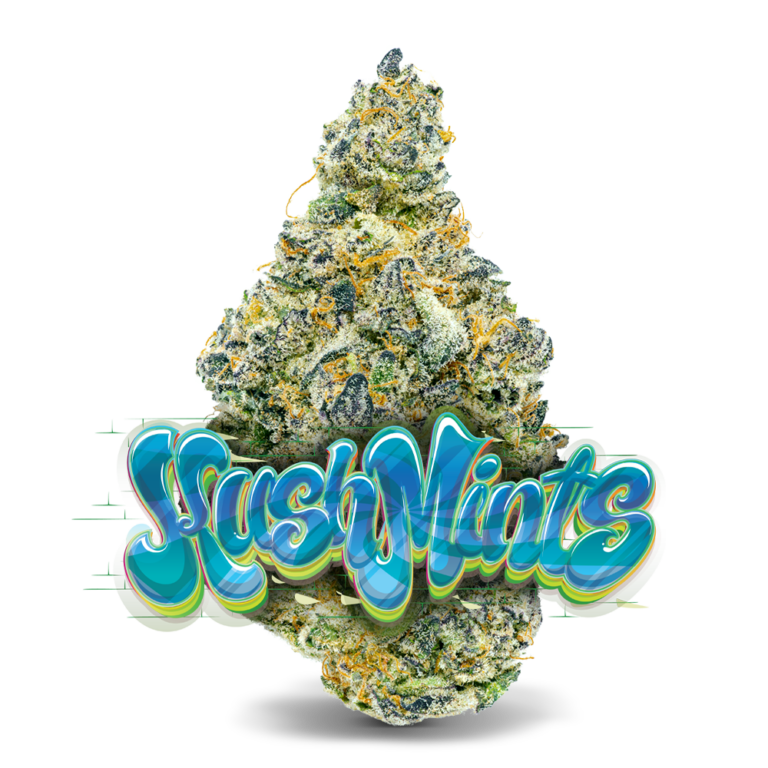 JB-_KushMints-Logo-768x768 Kush Mints Animal Mints x Bubba Kush
