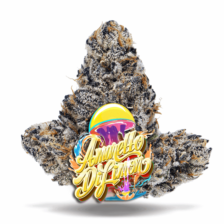 Sunset Sherbet x Girl Scout Cookies