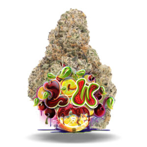 Lemon Cherry Gelato x Watermelon